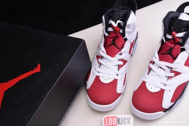 RETRO 'CARMINE' 6 2021 AIR JORDAN CT8529-106 0728